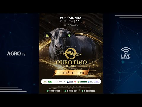 OURO FINO LEILÕES - 22/01/2026