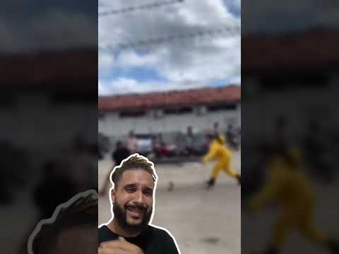 Homem morre após ataque de ABELHAS em MG! 🐝