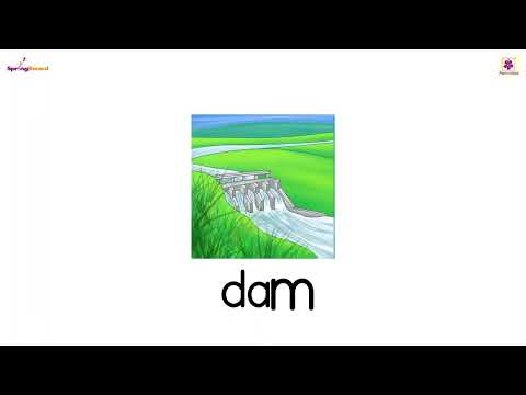 ‘_a_’ Family Words - 3 | Springboard SR KG Words & Sentences Part - 1 | Periwinkle