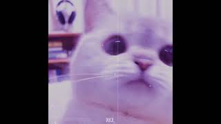 Download lagu Vietsub   Lyric Bukanpho   DJ DESA remix   Music Tik Tok mp3