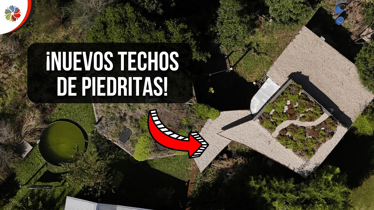 🏠 NO TIRES tu DINERO en CHAPAS 🔨 HAZLO de PIEDRITAS y AHORRARÁS una FORTUNA | PASO a PASO.