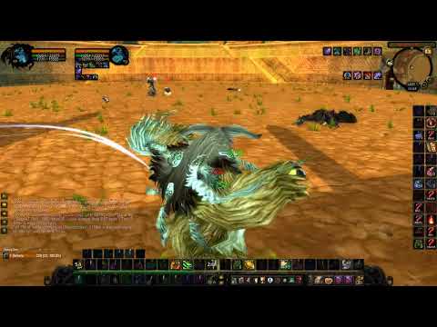 Things I have to deal with at Gurubashi Arena..