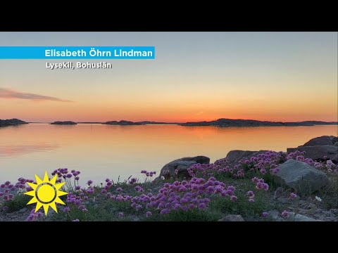 Supervärmen fortsätter – se de fantastiska tittarbilderna - Nyhetsmorgon (TV4)