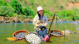 Full Video: Harvesting Mussels, Snails, Frogs Goes To Market Sell - Gardening, Cooking | Tieu Duong