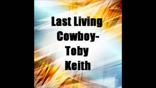 Last Living Cowboy-Toby Keith (Audio)