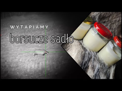 DIANA BYC 21/2024 Naturalne białe złoto. Jak wytopić sadło z borsuka?