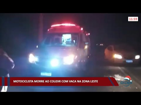 Motociclista morre ao colidir com vaca na zona leste 02 12 2021