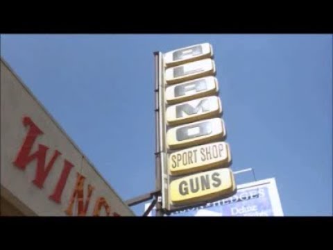 Terminator - gun shop