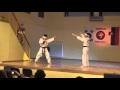 TAEKWONDO DEMONSTRACIJA 5