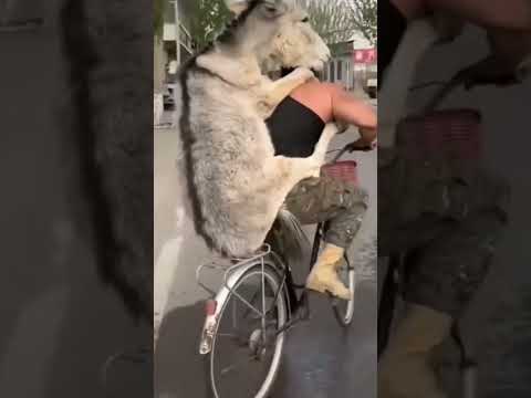 SIAMO alla FRUTTA 😱