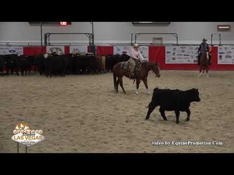 Sheza Voodoo Dr ridden by Karen Stallings  - 2019 NRCHA Stallion Stakes (Herd Work, NP Bridle Spec.)