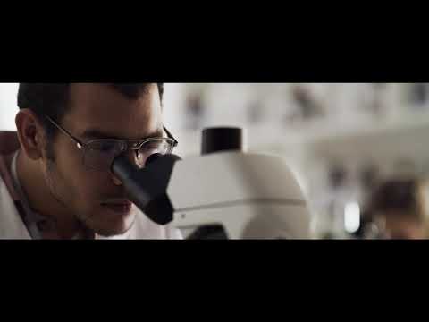 World Cancer Research Day