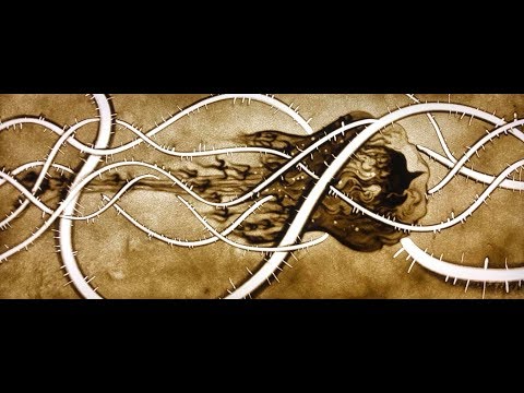 Zhaoze - Birds Contending MV / 沼泽乐队《爭鳴》 MV