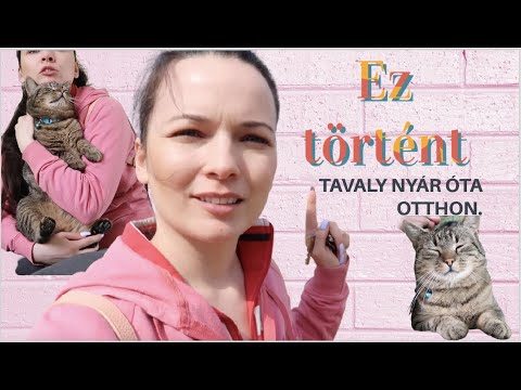 ENNYI MINDEN TÖRTÉNT TAVALY ÓTA - Gyuszi keresztapa lett ❤️ KICCSALÁDOM ❤️ 54. EPIZÓD