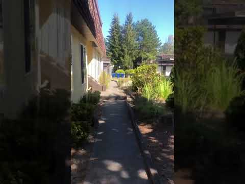 8620 HS GUO - Video 2 of 2