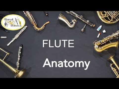 Flute Anatomy