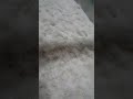 Sesame Seed Fluidized Dryer