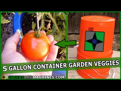 , title : 'Best Vegetables to Grow in 5 Gallon Buckets | Container Gardening'