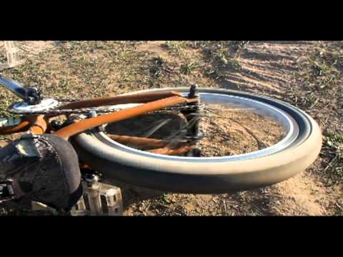 Suki maukii Lz juniors.