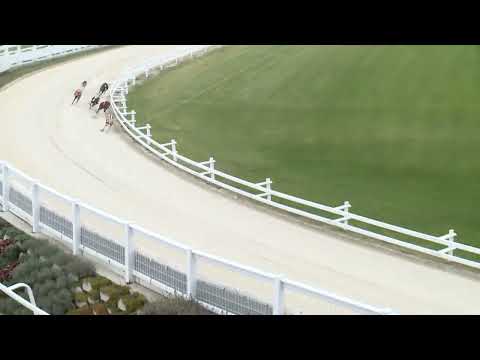 2022.10.29. 15. futam - Kölyök Derby Döntő