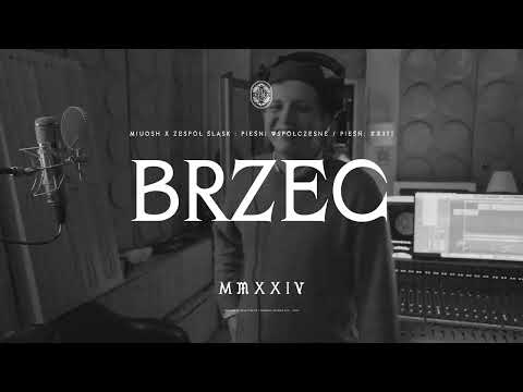 Maciej Musiałowski - Brzeg  (MIUOSH x ZESPÓŁ ŚLĄSK - Pieśni Współczesne. Tom II)