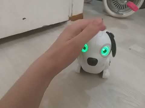 Собака-робот Silverlit  Дэкел Джуниор