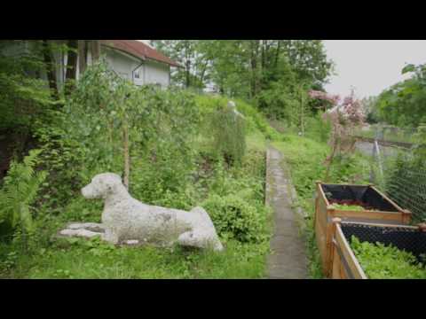 Kulturportal - Visuelle Kunst: Malerin und Fotografin Annunciata Foresti