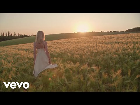 Darko Domijan - Zlatokosa