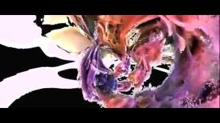 Acid Mothers Temple - Dark Stars in the Dazzling Sky