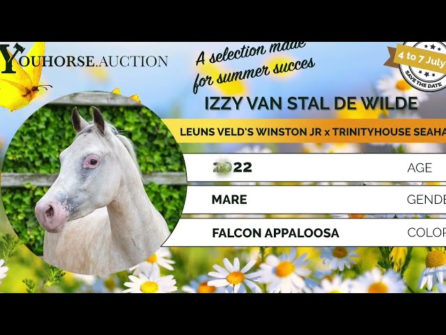 Izzy impressionvideo with 9 years old child