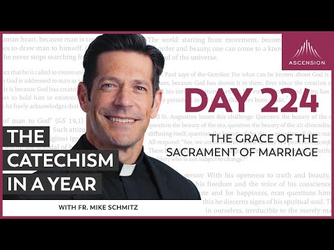 Day 224: The Grace of the Sacrament of Marriage — The Catechism in a Year (with Fr. Mike Schmitz)