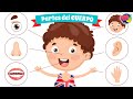 PARTES Del CUERPO En INGLÉS Aprende Inglés Para Niños