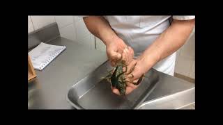 Châtrer des ecrevisses