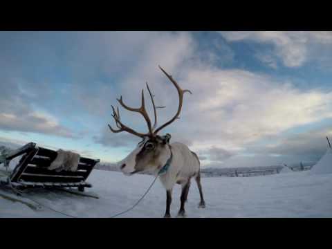 Kapitel 7 : Norwegen, Norway, Sami, Tromsø, Lappen, Abenteuer