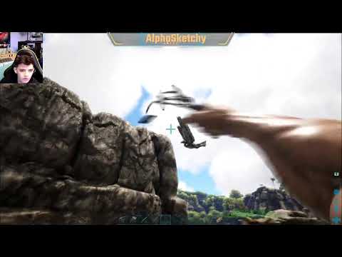 Ark base building, and animal taming