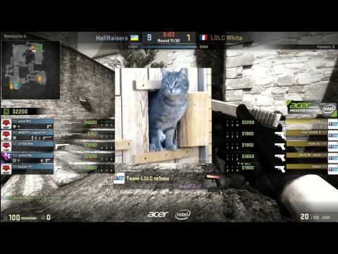 APM S2: HellRaisers vs LDLC White (Cobble)