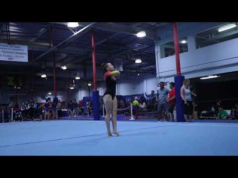 Addie Anderson 1st Floor Olympic Dreams Invite 2017 Wildfire Gymnast Level 5