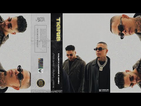 Kalim x Luciano x Ansu Ethnic Type Beat - Tigris [Free] (2021) [Middle East Type Beat]