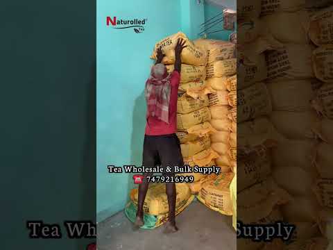 Assam Tea Wholesale Market | Biggest Tea Supplier | #assamtea #teabusiness #teawholesale