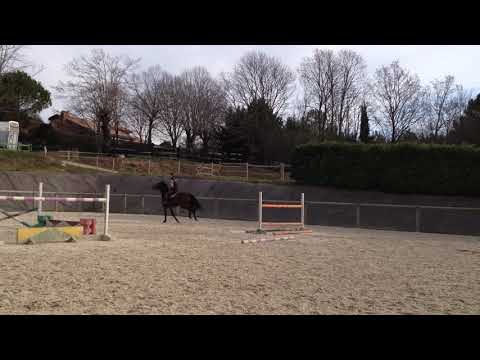 VENARD DE CERISY 2015 12 24