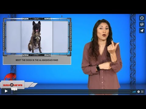 Meet the dogs in the Al-Baghdadi raid (ASL - 11.2.19)