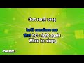 Alison Moyet - That Ole Devil Called Love - Karaoke Version from Zoom Karaoke