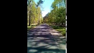 Hans Zimmer - Best friends (Cedyński Klub Rowerowy)