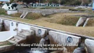 preview picture of video 'Ingenio, farm Andean trout - Huancayo Tours'