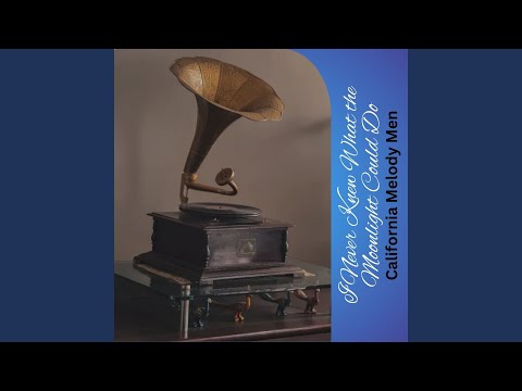 I Never Knew What the Moonlight Could Do