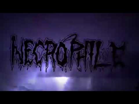 NECROPHILE (Japan) - 