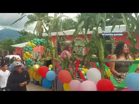 Desfile de carrozas festival del maiz 🌽distrito Paraíso de Osorio 🇸🇻 
