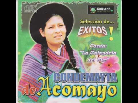 Condemaya de Acomayo - Serenata condemayta