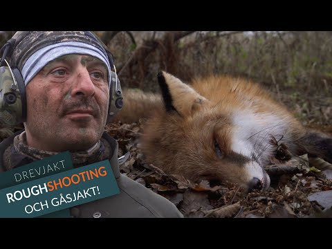 Drevjakt & Gåsjakt i Skåne - Vinnare i Musikhjälpen!