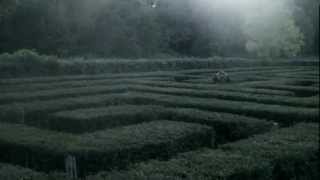 Stars Fall by Et Tu Brucé